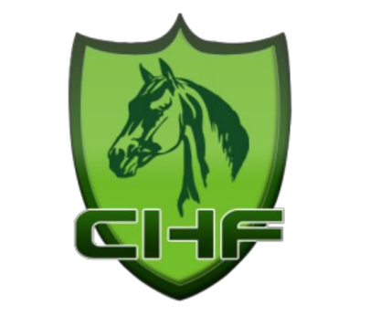 2025��ʮ�����й�������ҵ����չ����