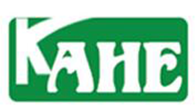 2026�й���������ҵչ����