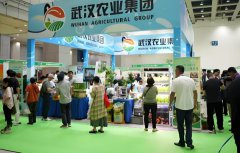 �ڶ�ʮ���й��人ũҵ���������人���ʻ�չ���ľ���