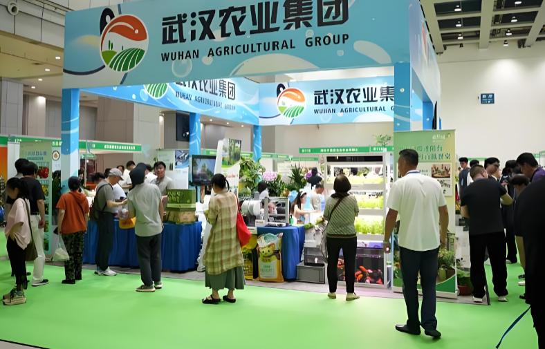 �ڶ�ʮ���й��人ũҵ���������人���ʻ�չ���ľ���