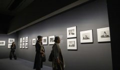 莫兰迪大展迎收官 申城艺术热潮持续