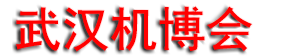 2025��25���й����ʻ����Ʒ���������人���ʹ�ҵ������