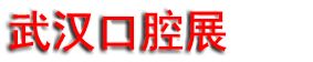 2025�в����人�����ʿ�ǻչ