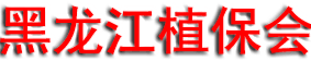 2025����ʮ�˽������ֲ����Ϣ������ũҩе���׻ᣨ������ֲ����