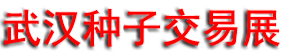 2026��43���人���ӽ��׻�
