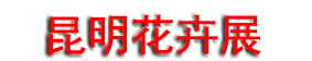 2026�ڶ�ʮ�����й��������ʻ���չ