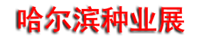 2026����ʮ�����������ҵ������